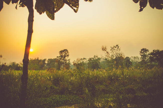 Photo of For The Couple That Loves The 'Wild' Life, This Lodge Is Ideal For Your Valentines Celebration by Sreshti Verma