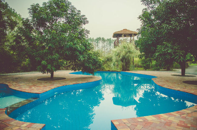 Photo of For The Couple That Loves The 'Wild' Life, This Lodge Is Ideal For Your Valentines Celebration by Sreshti Verma