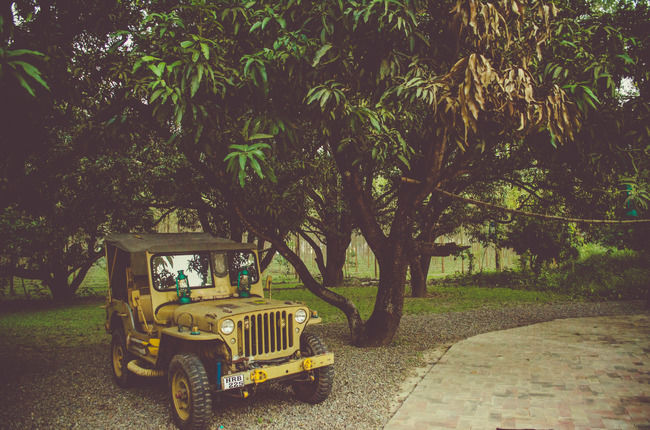 Photo of For The Couple That Loves The 'Wild' Life, This Lodge Is Ideal For Your Valentines Celebration by Sreshti Verma