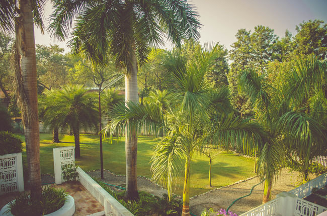 Photo of For The Couple That Loves The 'Wild' Life, This Lodge Is Ideal For Your Valentines Celebration by Sreshti Verma