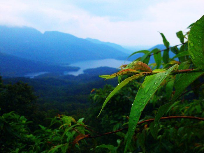 Photo of Gorgeous Goa by Vidushi Kara