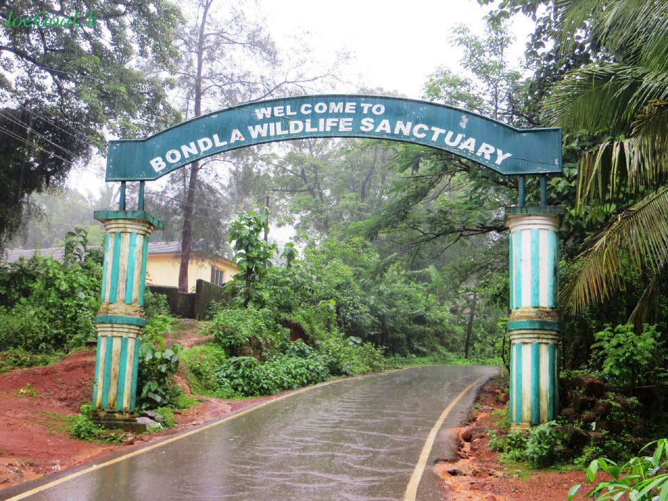 Photo of Gorgeous Goa by Vidushi Kara