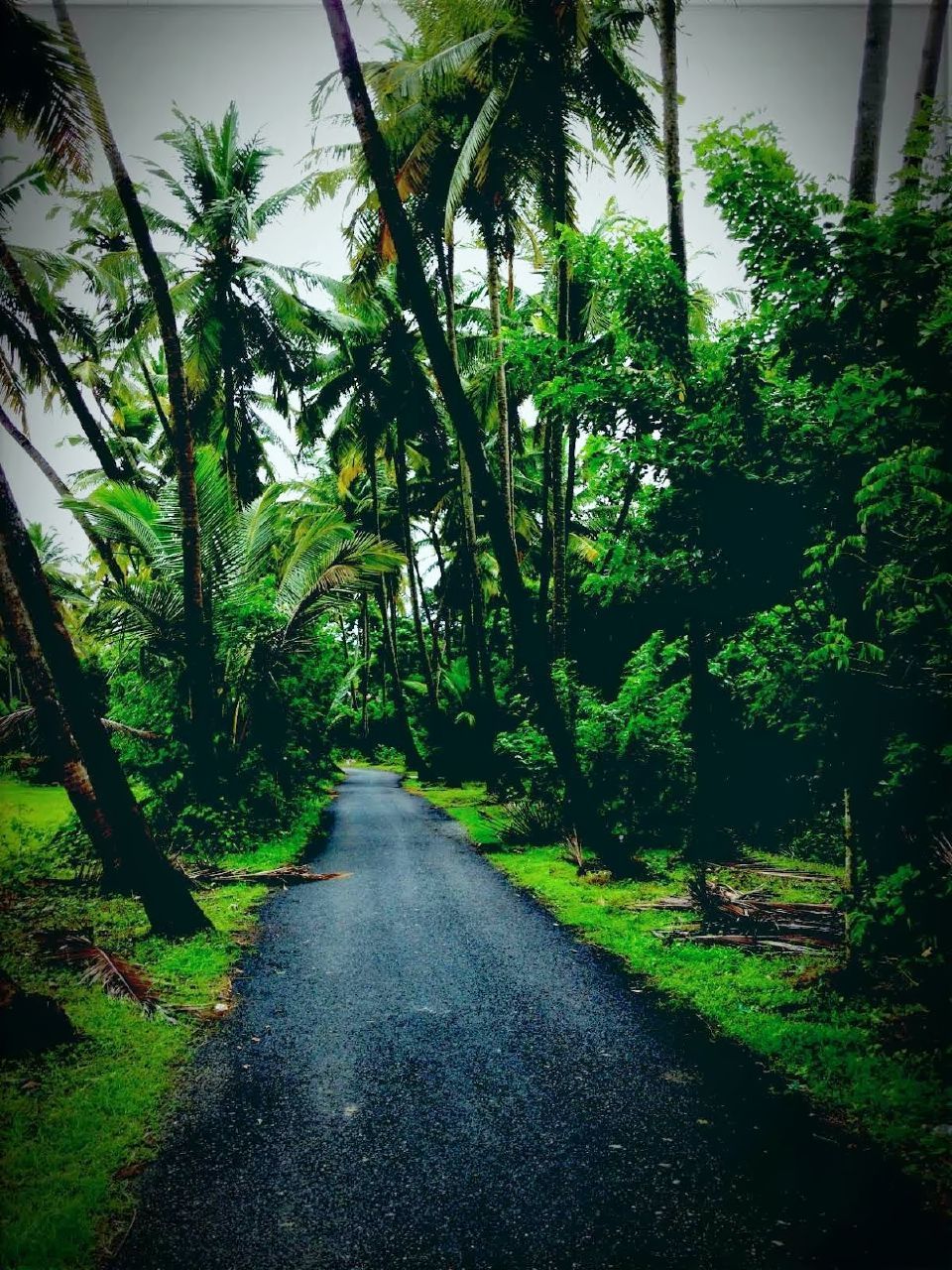 Photo of Gorgeous Goa by Vidushi Kara