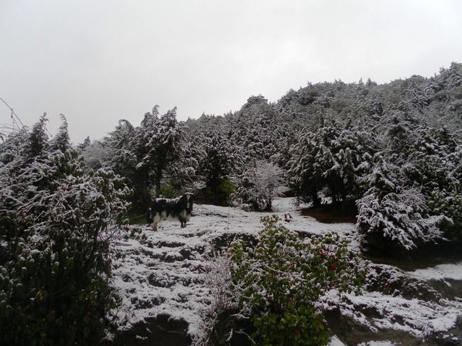 Photo of Madhuri Lake by Shraddha Pandya