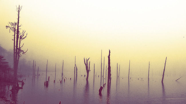 Photo of Madhuri Lake by Nerdy Adventuress