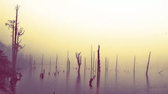 Photo of Madhuri Lake by Nerdy Adventuress