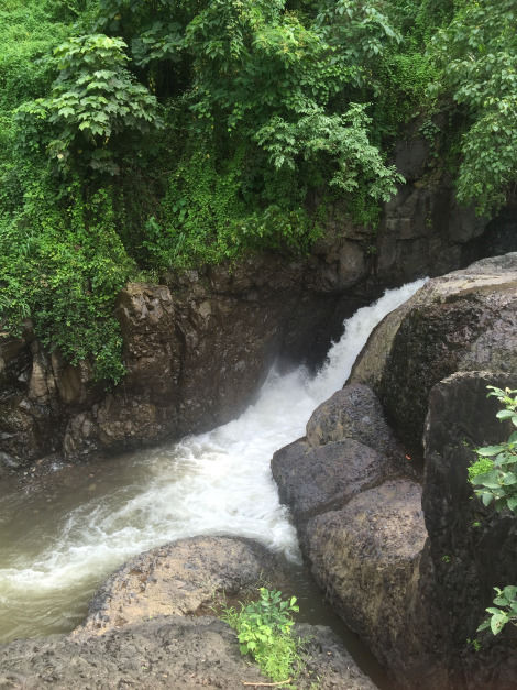 Photo of Hidden Waterfall trail of Gujarat-dediapada forest by Mohal Banker