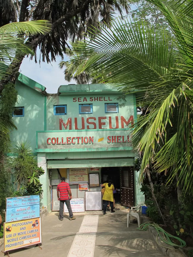 Photo of Sea Shell Museum, Diu, Daman and Diu, India by Himani Khatreja