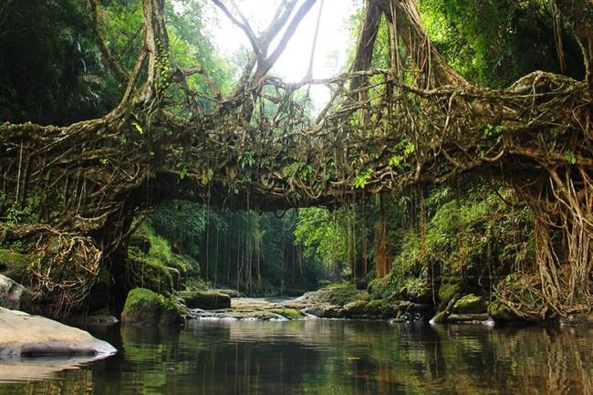 Photo of Meghalaya, India by Shikha Singh