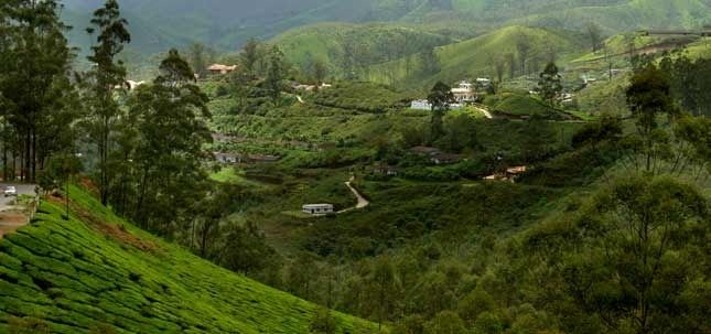 Photo of Western Ghats, Kannan Devan Hills, Kerala, India by Shikha Singh