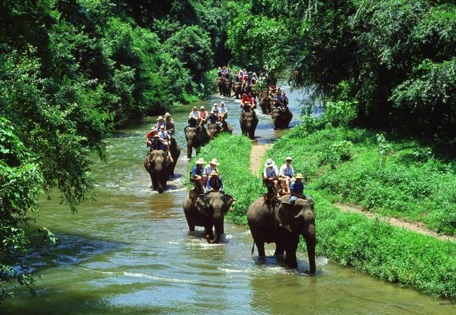 Photo of Odisha, India by Shikha Singh