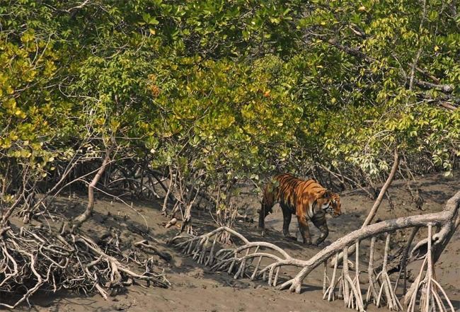 Photo of West Bengal, India by Shikha Singh