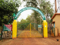 Photo of Achanakmar Wildlife Sanctuary, Mungeli, Chhattisgarh, India by loveofindia8