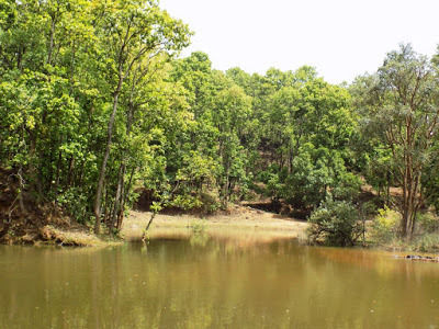 Photo of Raipur, Chhattisgarh, India by loveofindia8