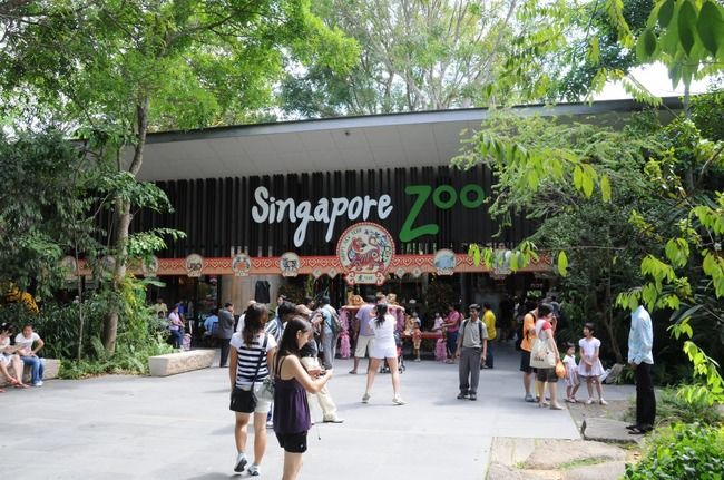 Photo of Singapore Zoo Singapore by Tripoto