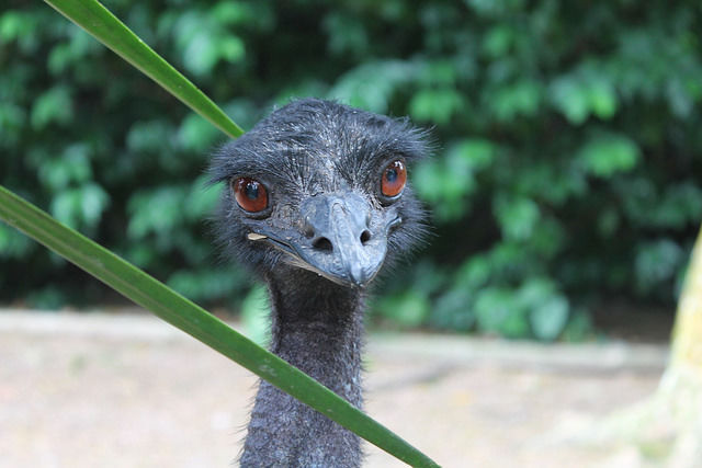 Photo of Jurong Bird Park Singapore by Tripoto