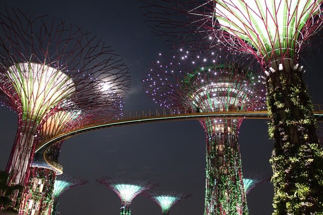 Photo of Gardens by the Bay Singapore by Tripoto