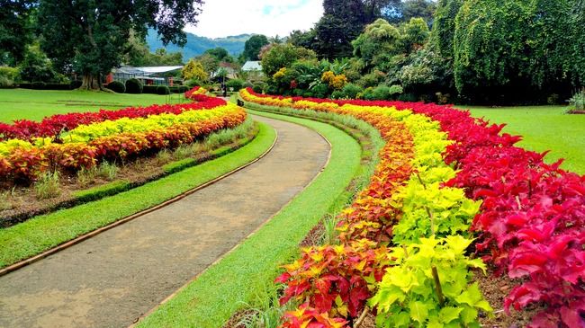 Photo of Sri Dalada Maligawa, Kandy, Sri Lanka by Shruti