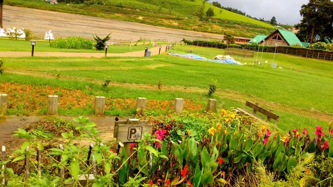 Photo of Nuwara Eliya, Central Province, Sri Lanka by Shruti