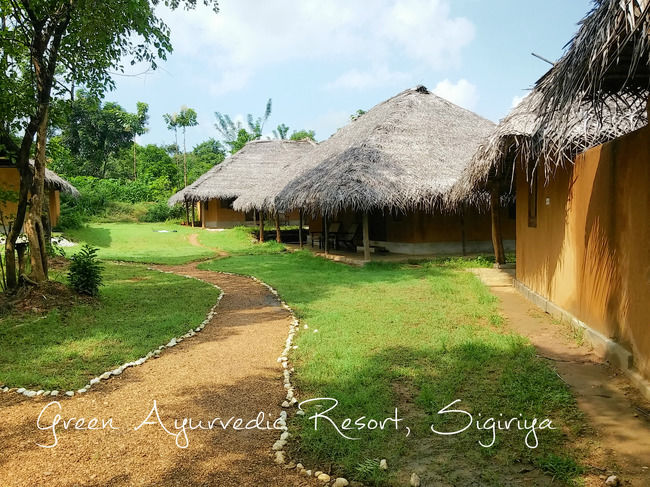 Photo of Dambulla Cave Temple, Kandy - Jaffna Highway, Dambulla, Sri Lanka by Anupama Gupta