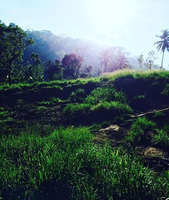 Photo of Sri Lanka - Exploring the drop in the Ocean by localtravelista
