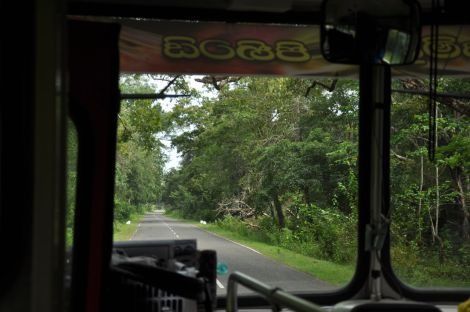 Photo of Travel by Bus in Sri Lanka… the challenge! by Catarina Piedade