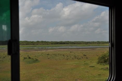 Photo of Travel by Bus in Sri Lanka… the challenge! by Catarina Piedade