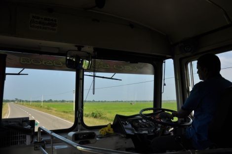 Photo of Travel by Bus in Sri Lanka… the challenge! by Catarina Piedade