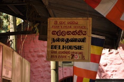 Photo of Travel by Bus in Sri Lanka… the challenge! by Catarina Piedade