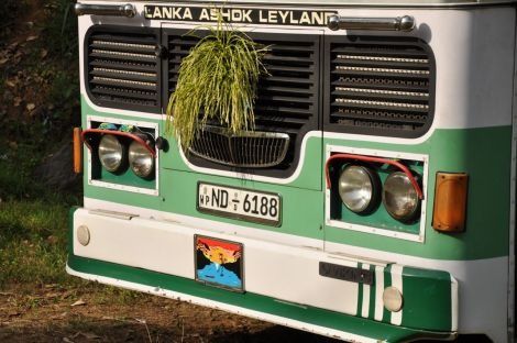 Photo of Travel by Bus in Sri Lanka… the challenge! by Catarina Piedade