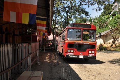 Photo of Travel by Bus in Sri Lanka… the challenge! by Catarina Piedade