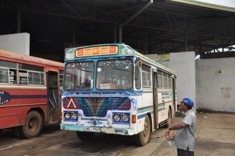 Photo of Travel by Bus in Sri Lanka… the challenge! by Catarina Piedade