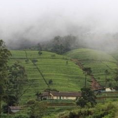 Photo of Lake Gregory, Nuwara Eliya, Central Province, Sri Lanka by KAVI MANI KUMAR KULANDHAIVEL SAKTHIVEL