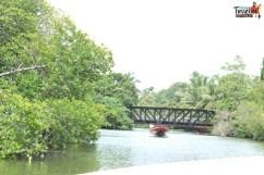 Photo of Maduganga River, Balapitiya, Southern Province, Sri Lanka by KAVI MANI KUMAR KULANDHAIVEL SAKTHIVEL