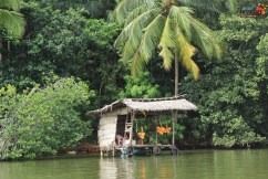 Photo of Maduganga River, Balapitiya, Southern Province, Sri Lanka by KAVI MANI KUMAR KULANDHAIVEL SAKTHIVEL