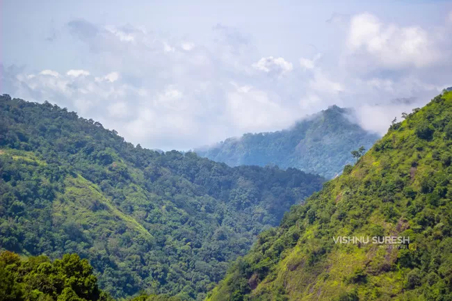 Photo of Silent Valley National Park KERALA, Karuvara, Palakkad, Kerala, India by Vishnu Sureshan