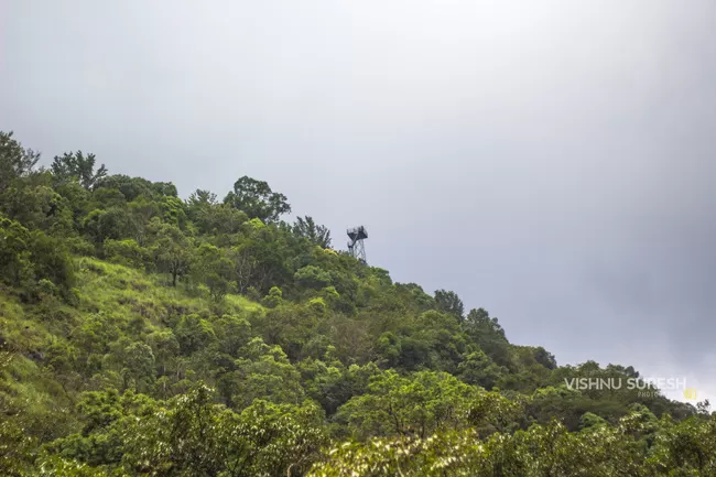 Photo of Silent Valley National Park KERALA, Karuvara, Palakkad, Kerala, India by Vishnu Sureshan
