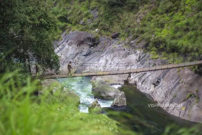 Photo of Silent Valley National Park KERALA, Karuvara, Palakkad, Kerala, India by Vishnu Sureshan