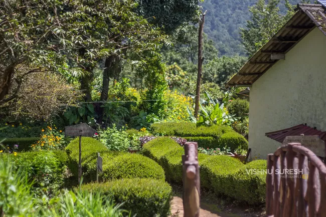 Photo of Silent Valley National Park KERALA, Karuvara, Palakkad, Kerala, India by Vishnu Sureshan