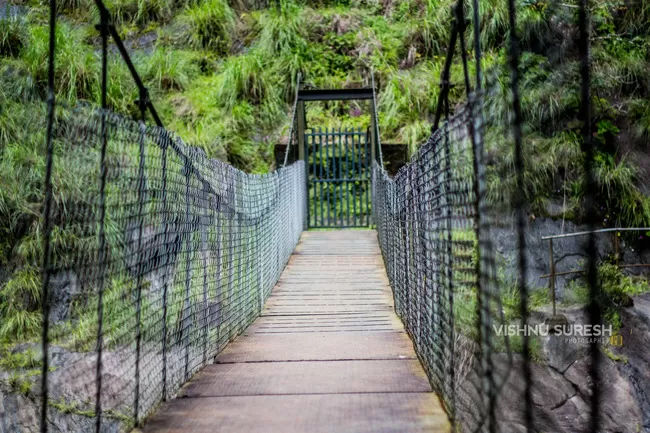 Photo of Silent Valley National Park KERALA, Karuvara, Palakkad, Kerala, India by Vishnu Sureshan