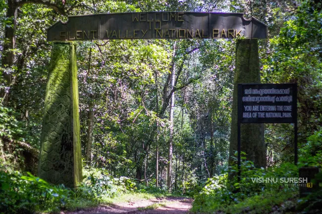 Photo of Silent Valley National Park KERALA, Karuvara, Palakkad, Kerala, India by Vishnu Sureshan