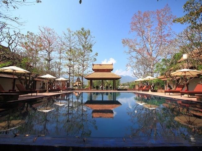 Photo of Everything You Need To Know For An Amazing Trip To Thailand! by Tripoto