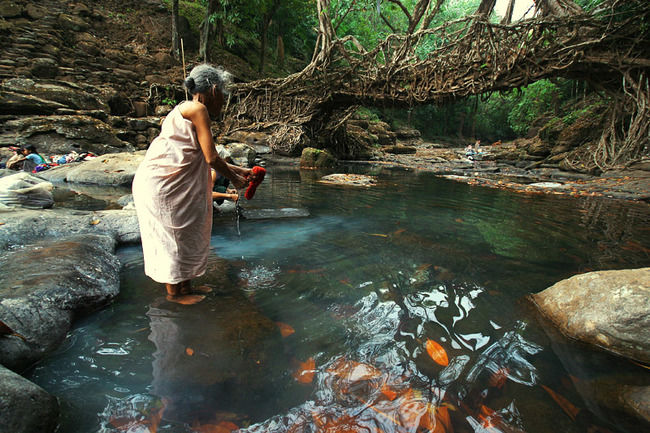 Photo of Mawlynnong, Meghalaya, India by Harleen Kalsi