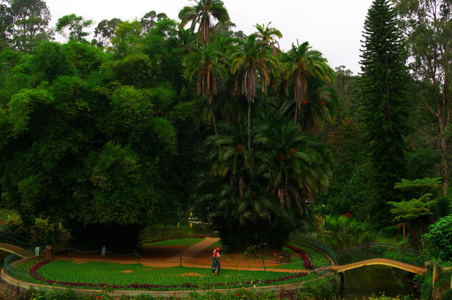 Photo of Coonoor, Tamil Nadu, India by Harleen Kalsi