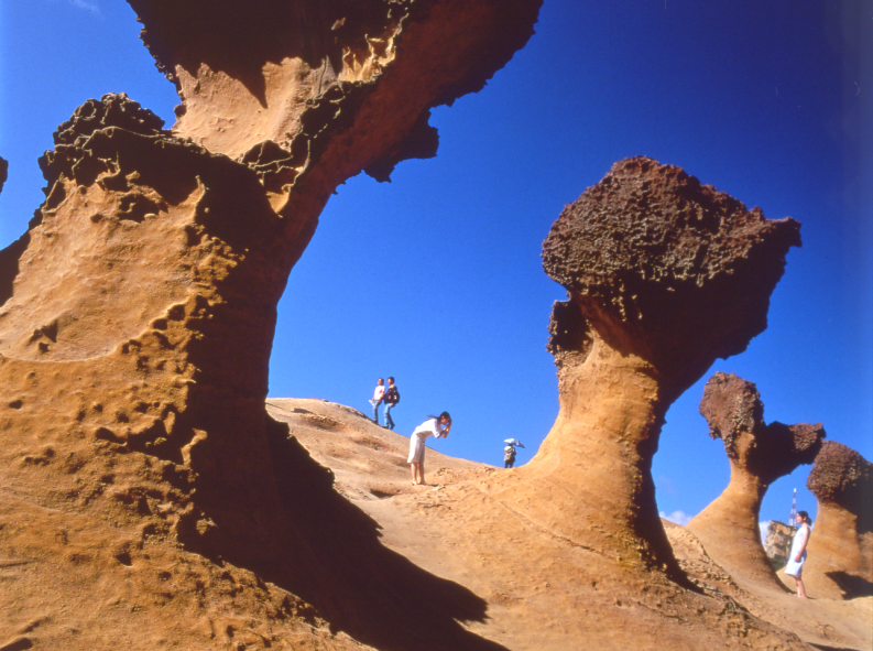 Photo of Yehliu Geopark, Gangdong Road, 野柳里, New Taipei City, Taiwan by Taiwan Tourism