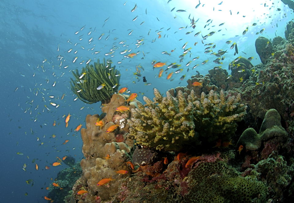 Photo of Port Blair, Andaman and Nicobar Islands, India by Tripoto