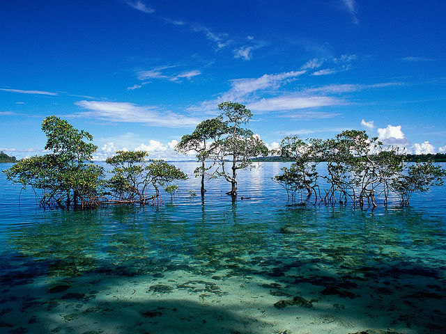 Photo of Radhanagar Beach, Andaman and Nicobar Islands, India by Tripoto