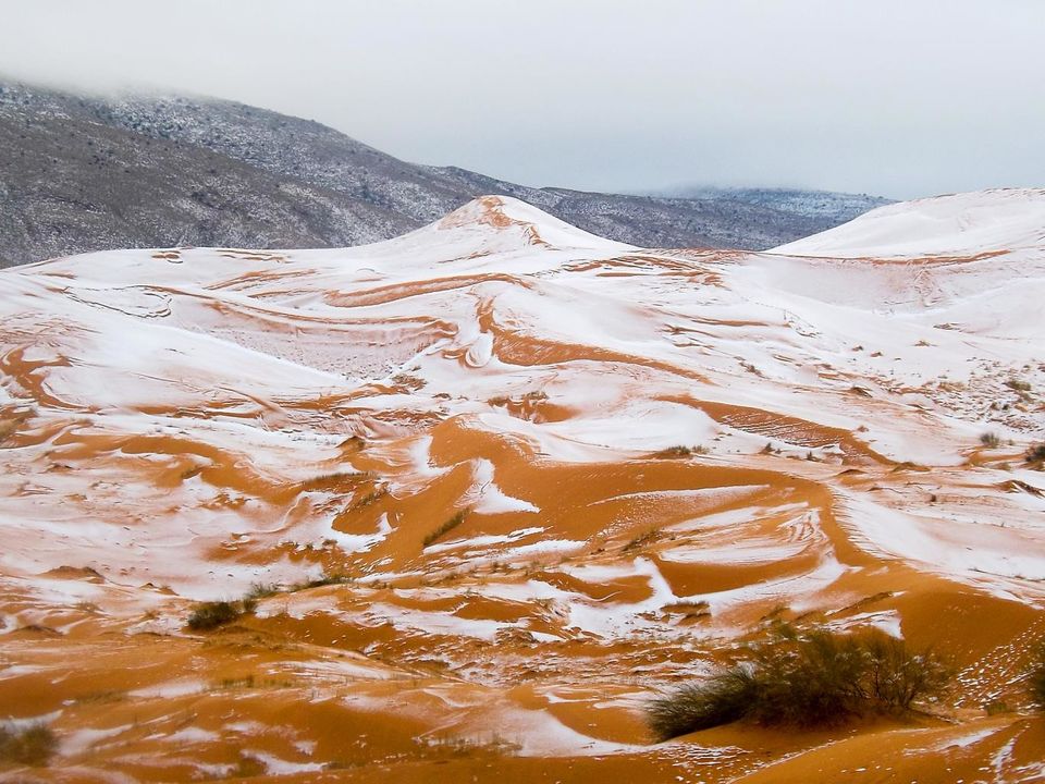 Photo of Snowfall In The Sahara Desert Is A Beautiful Tragedy Screaming For Help by Sreshti Verma