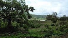Photo of Kemmanagundi Road, Ballavara, Karnataka, India by Backpack with Radhika