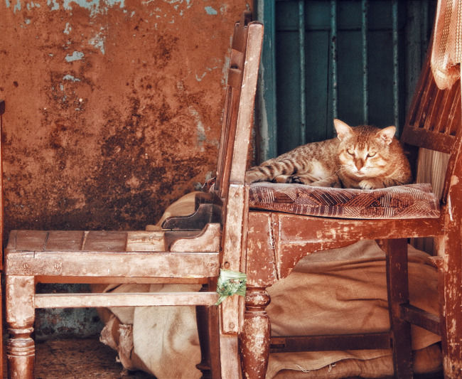 Photo of Sketch of a Sleeping Beauty, Udvada by pratik shah
